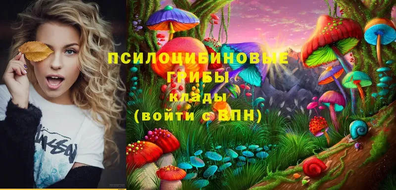 Галлюциногенные грибы MAGIC MUSHROOMS  цена наркотик  Губаха 